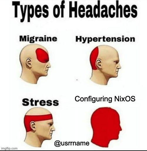 "Types of headache meme showing from left to right, diagrams of migraine, hypertension, and stress headache regions highlighted in red. On the lower right quadrant, a diagram with a full head in red is labelled 'Configuring NixOS'"